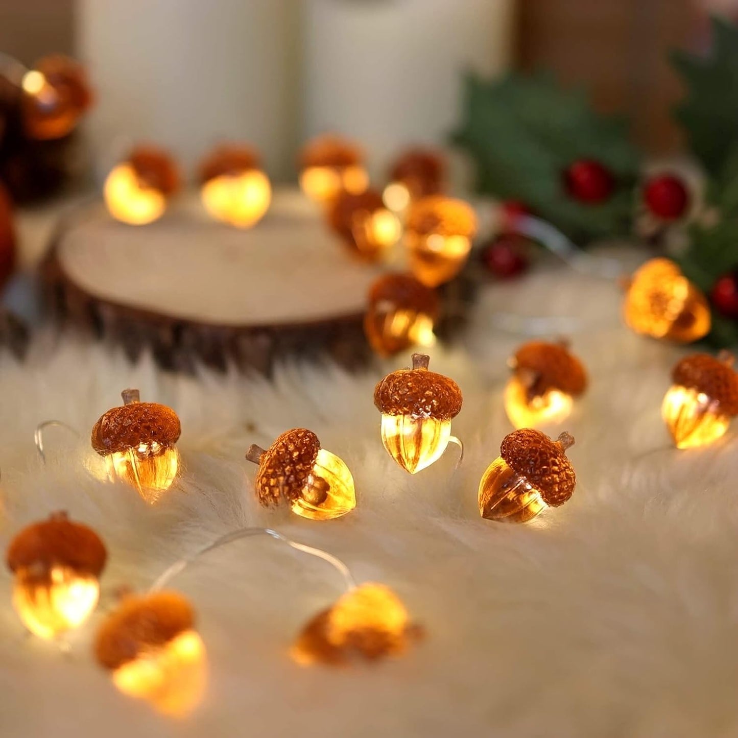 10 ft Decorative Fairy Acorn String 30 LED Lights