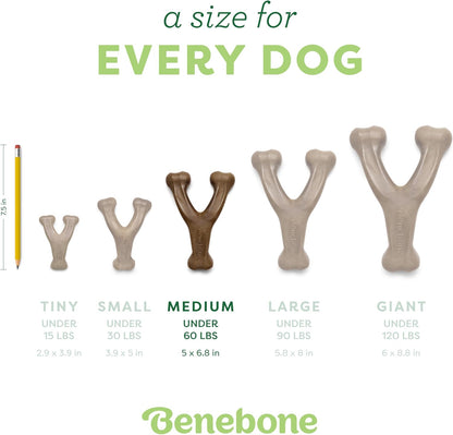 Wishbone Durable Dog Chew Toy for Aggressive Chewers