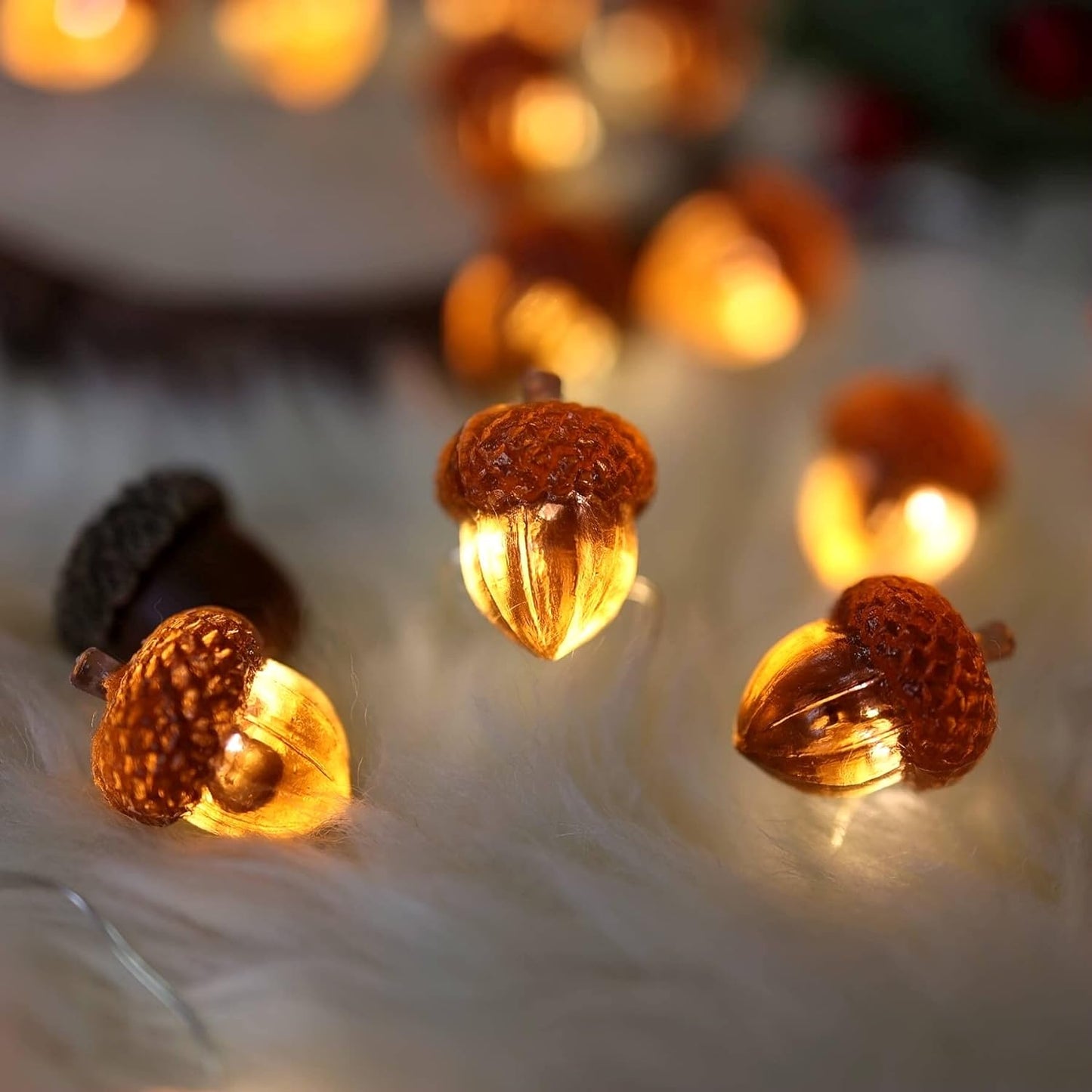 10 ft Decorative Fairy Acorn String 30 LED Lights