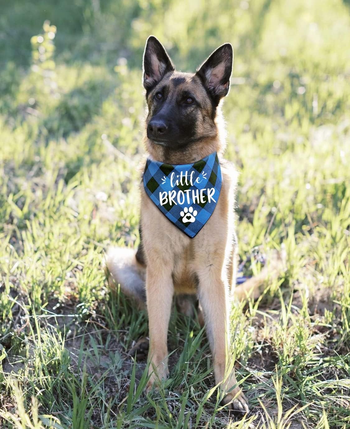 Blue Plaid Cotton Little Brother Pet Dog Bandana