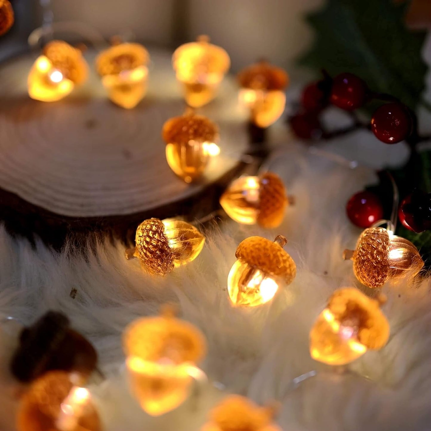 10 ft Decorative Fairy Acorn String 30 LED Lights