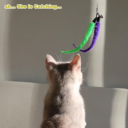 Interactive Cat Toys - Retractable Wand Toy and Feather Toys