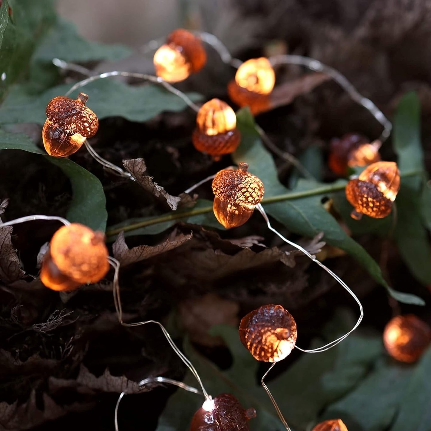 10 ft Decorative Fairy Acorn String 30 LED Lights