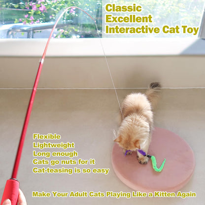 Interactive Cat Toys - Retractable Wand Toy and Feather Toys